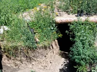 CAM02488.jpg