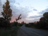CAM02587(2).webp