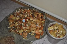 DSC_0140_новый размер.webp