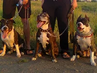 ----0456_001.webp