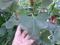 DSCN3207.webp