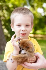 img-013.webp