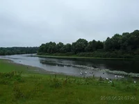 03_hf.webp