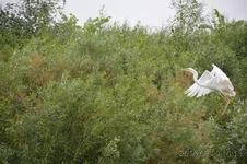 05_hf.webp