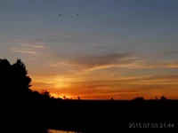 33_hf.webp
