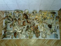 009.webp