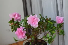 DSC_0853.webp