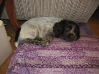 IMG_2485.jpg