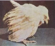 clip-image008-thumb1.webp