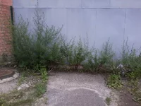 -0009.webp