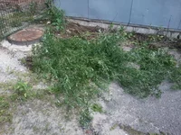 -0011.webp