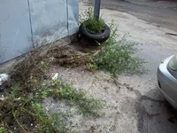 -0013.webp