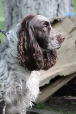 1431971924359_4.webp