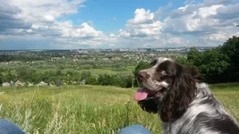 20140615_160404.jpg
