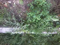 -0015.webp