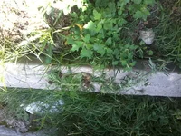 -0017.webp