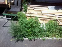 -0018.webp