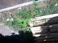 -0021.webp
