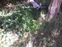 -0023.webp