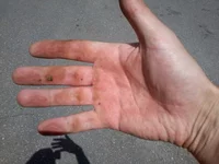 -0026.webp