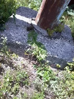 -0028.webp