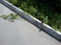 -0029.webp