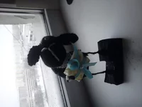 DSC02249.webp