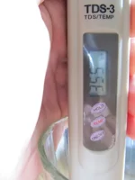  005.webp