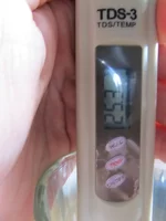  006.webp