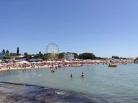 image.webp