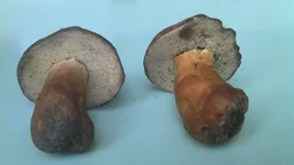 2015-07-19_19-24-23_783.jpg