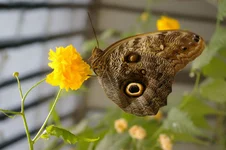 IMGP1415 [Разрешение рабочего стола].webp