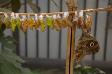 IMGP1441 [Разрешение рабочего стола].webp