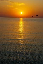 IMGP1880 [Разрешение рабочего стола].webp