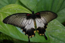 IMGP1425 [Разрешение рабочего стола].webp