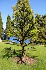 IMGP1518 [Разрешение рабочего стола].webp