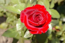 IMGP1573 [Разрешение рабочего стола].webp