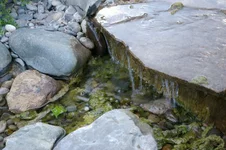 IMGP1625 [Разрешение рабочего стола].webp