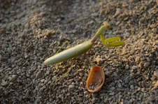 IMGP1932 [Разрешение рабочего стола].webp