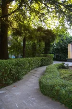 IMGP1036 [Разрешение рабочего стола].webp