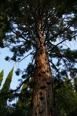 IMGP1186 [Разрешение рабочего стола].webp