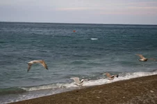 IMGP2290 [Разрешение рабочего стола].webp