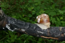 IMGP0512 [Разрешение рабочего стола].webp