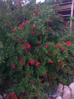 DSC00206.webp