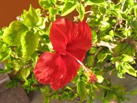 IMG_2371.webp