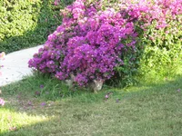 IMG_3402.webp