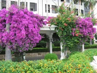 IMG_3689.webp