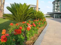 IMG_1382.JPG