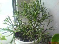 DSC01147.webp