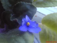 DSC00070.webp
